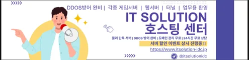 IT솔루션 IDC