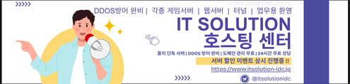 IT솔루션 IDC
