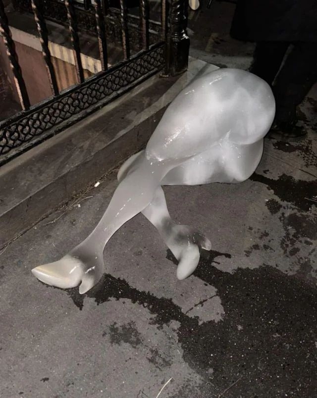 은꼴