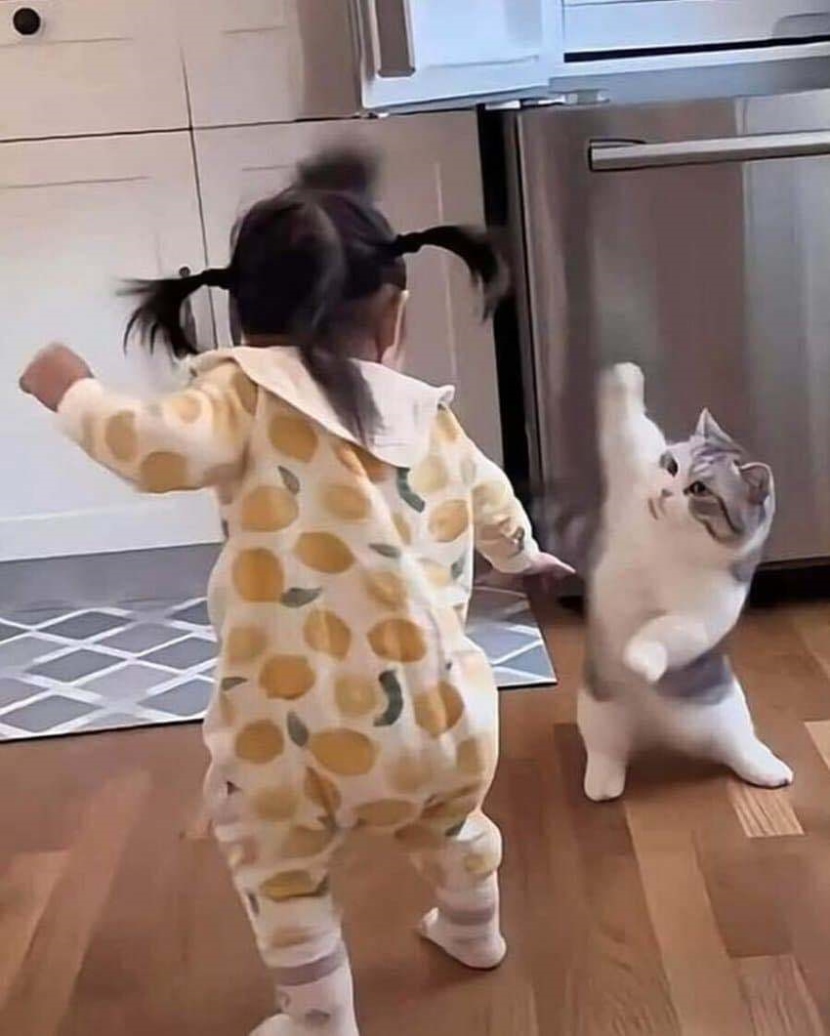 한판 떠?