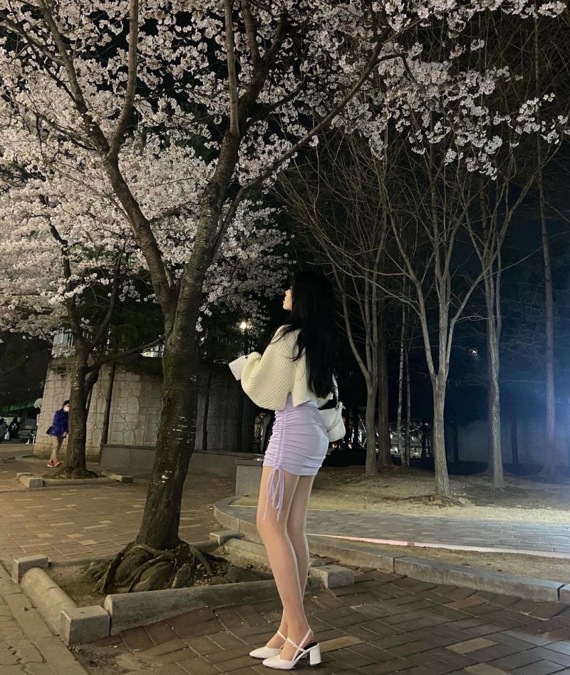 벚꽃녀