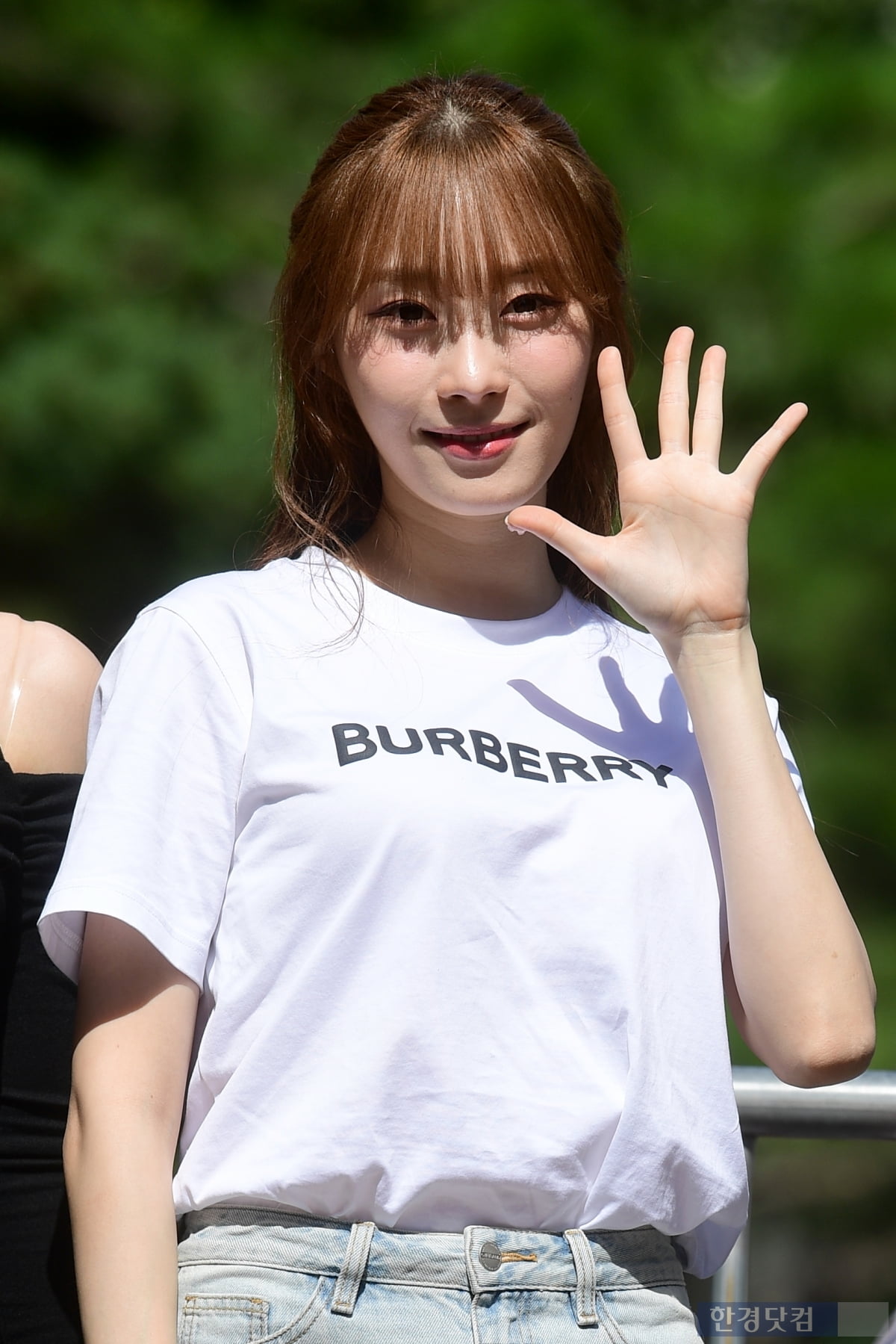 시그니처 채솔