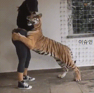 동물