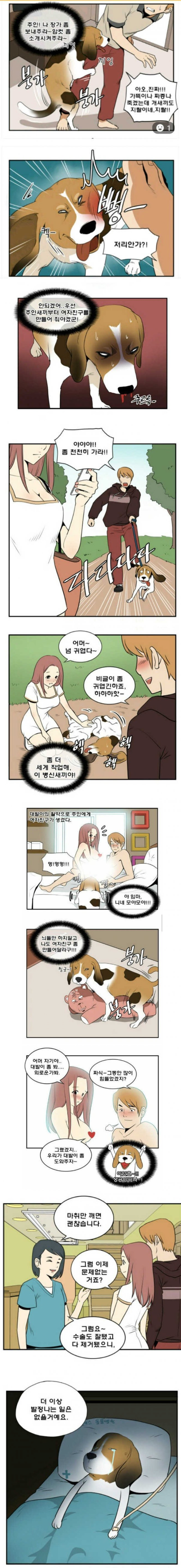 여자친구 만들어준 비글의 최후