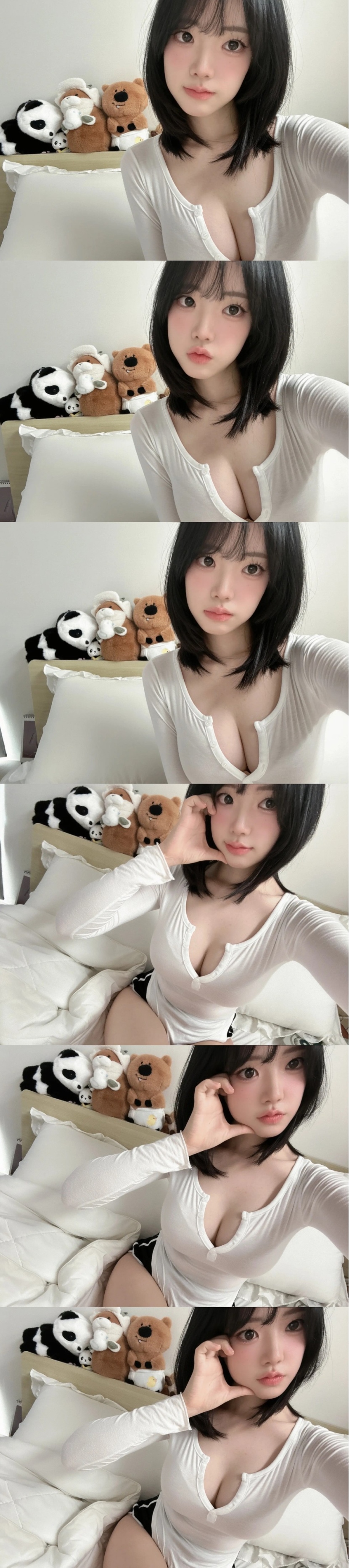 스트리머 늑대채린 방셀