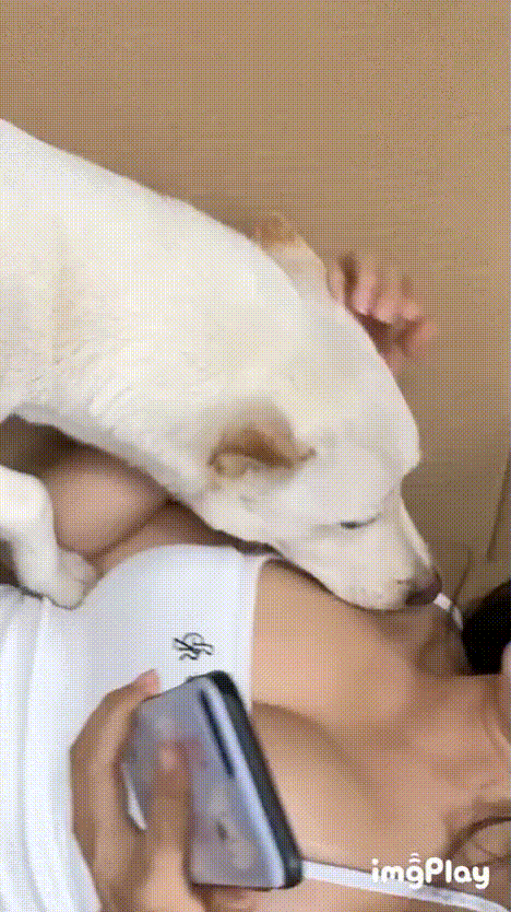 은꼴