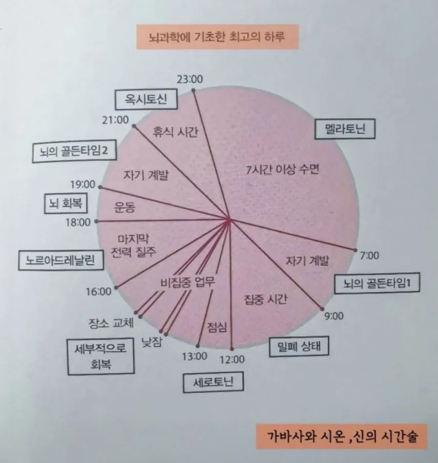 뇌 과학에 기초한 최고의 하루 루틴.