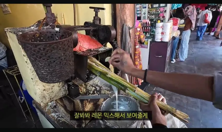 여행 유튜버 누나의 인도 길거리 음식 체험