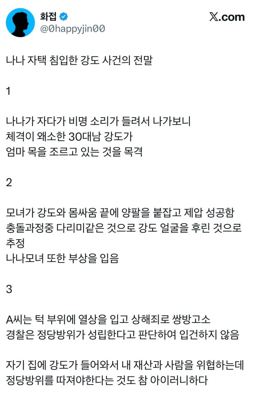 나나 자택 침입 강도사건의 전말.jpg