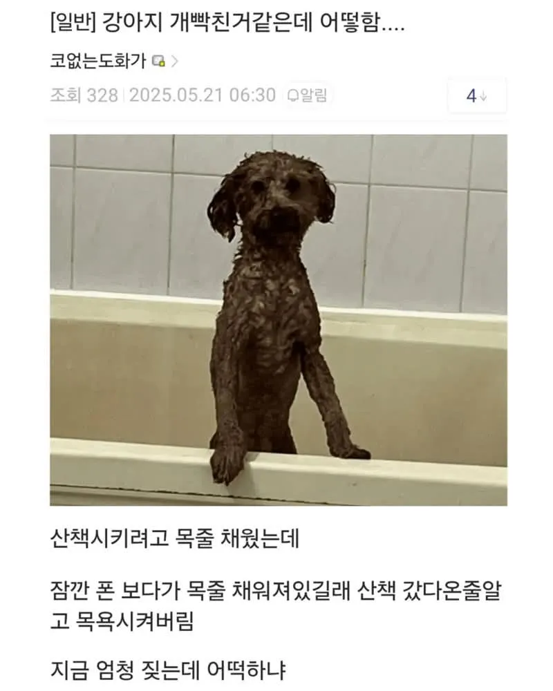ADHD 갤러리 근황
