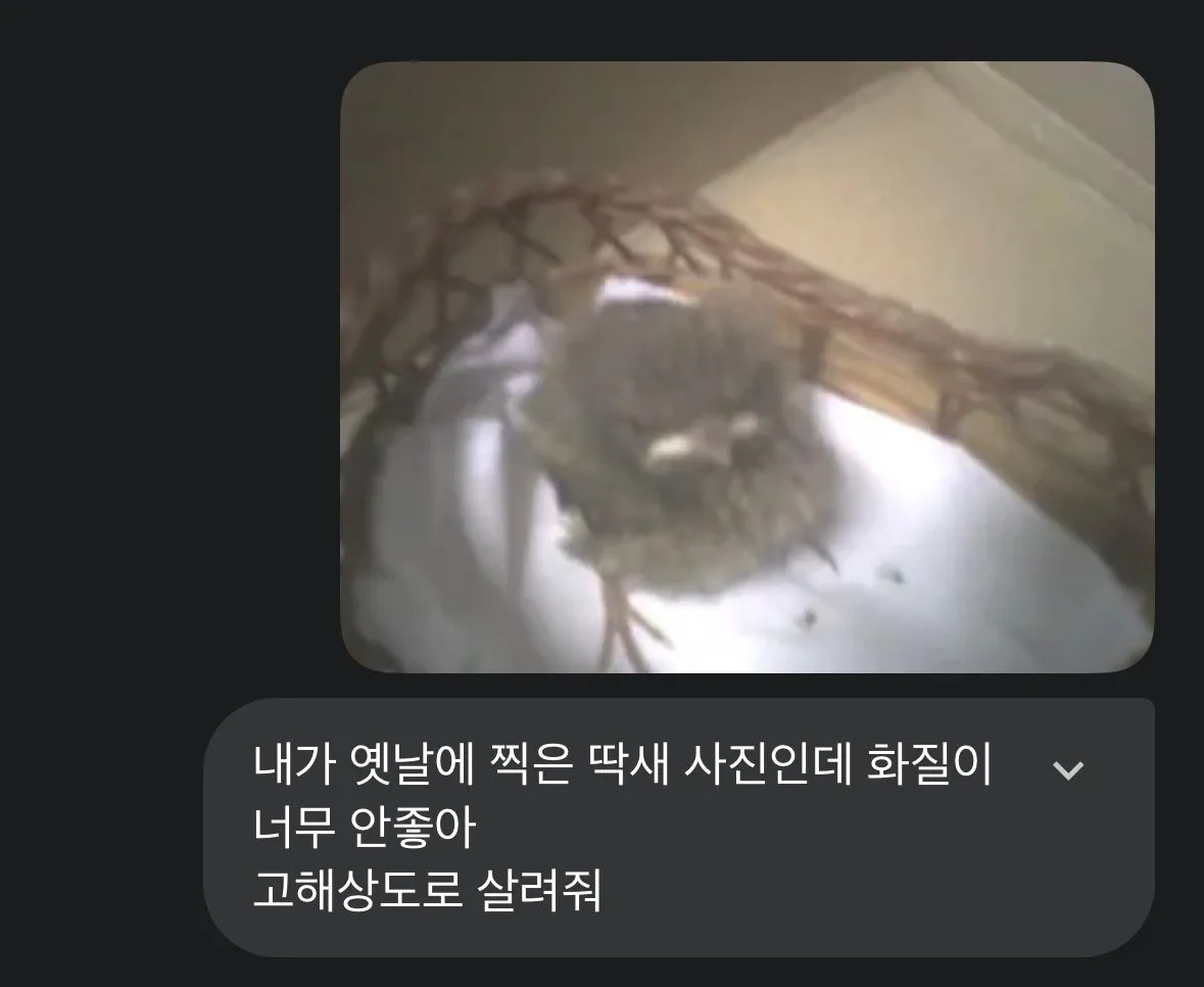화질좋지.jpg