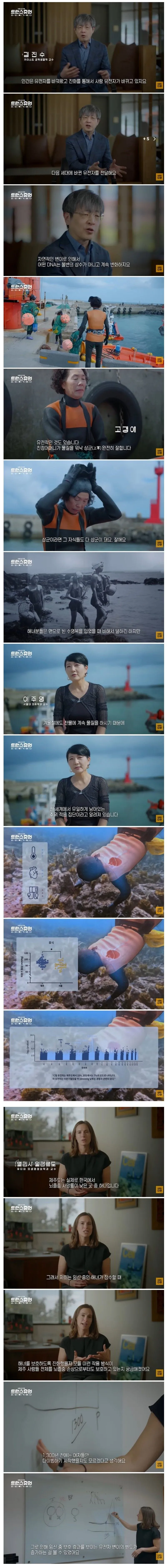 해외에서 연구감이라는 우리나라 직업.jpg