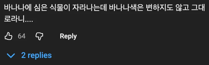 🍌 바나나에 식물을 심으면 잘 자란다 🪴