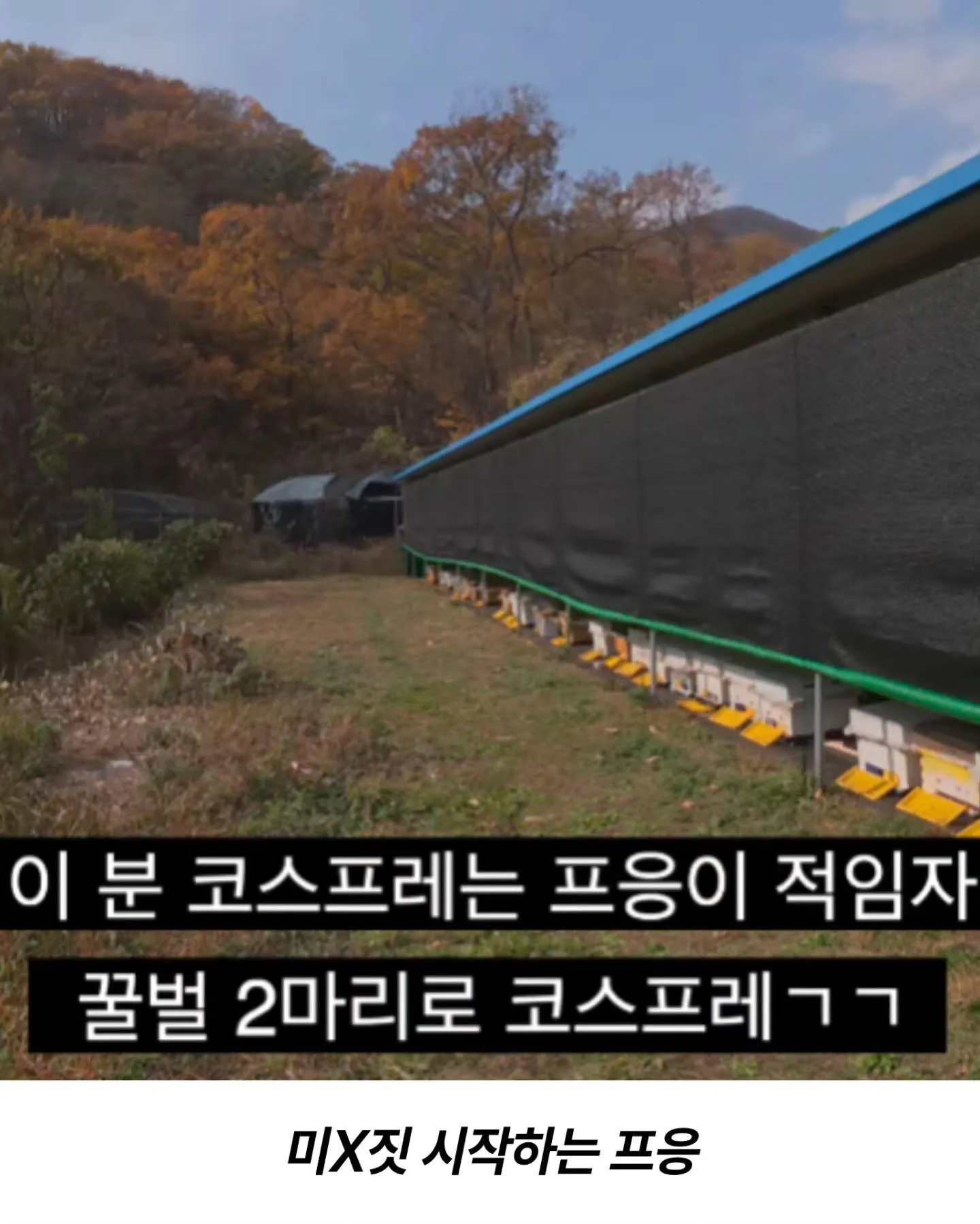 프응의 벌침으로 양주시 공무원 다라이 따라잡기