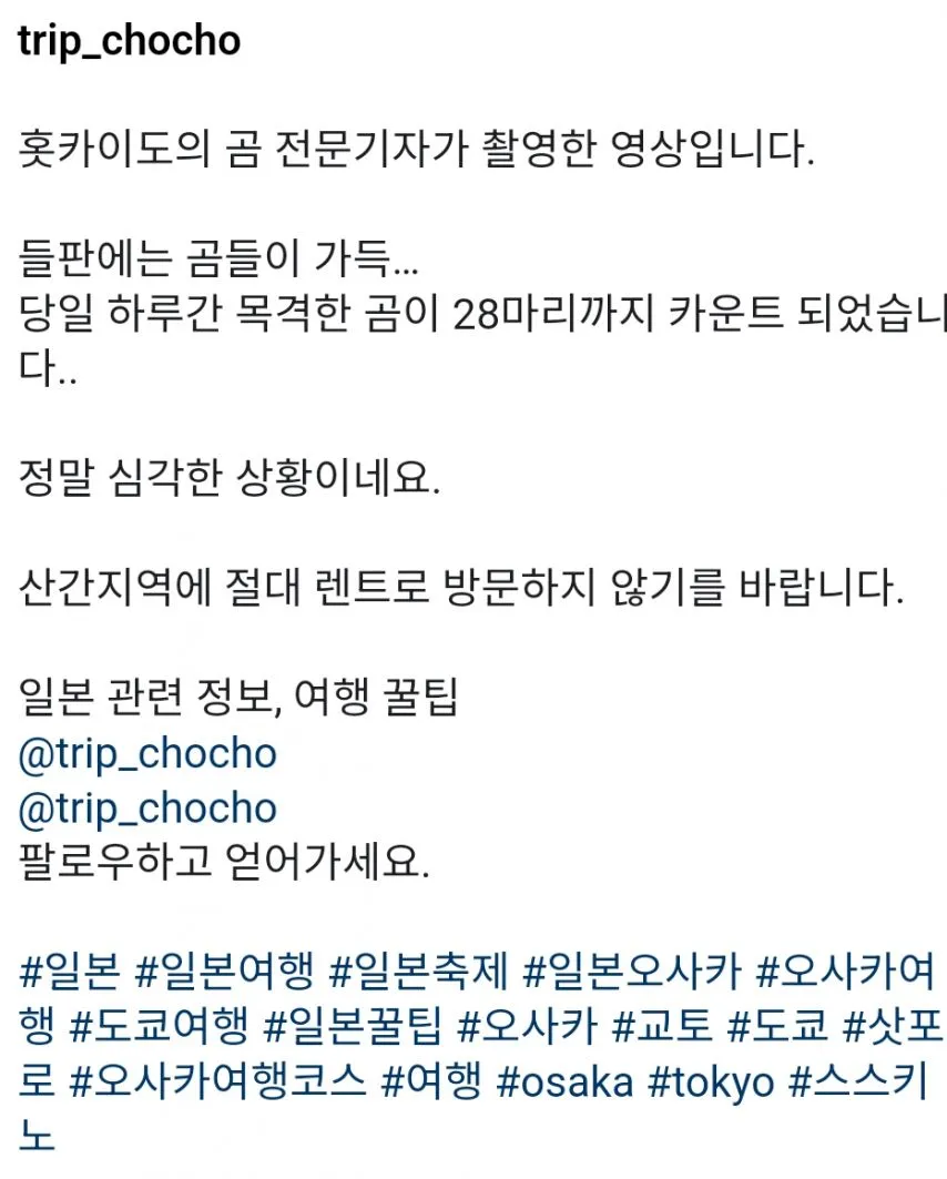 일본 홋카이도 근황.gif