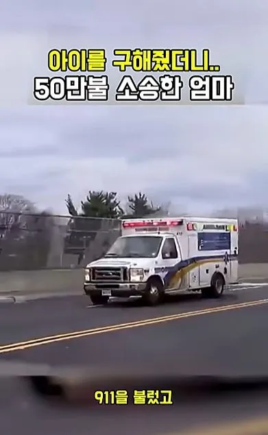 [스압] 아이를 구해줬더니 50만불 소송한 애엄마