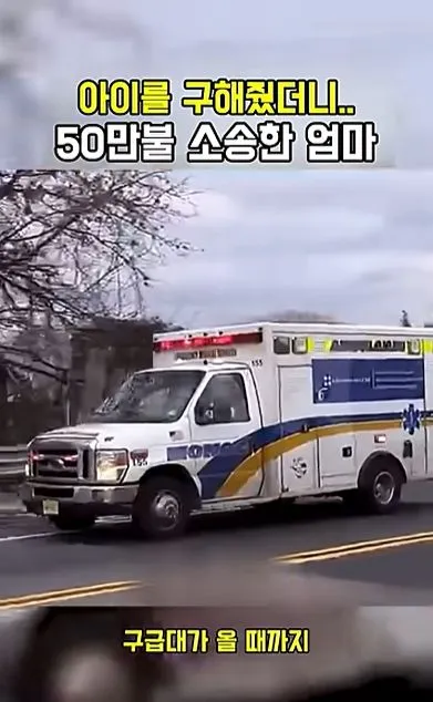 [스압] 아이를 구해줬더니 50만불 소송한 애엄마