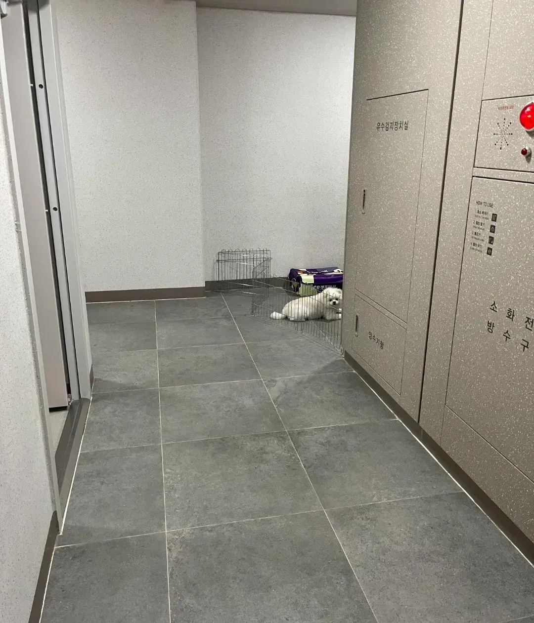 이웃집 레전드