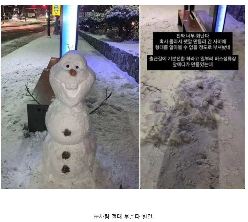 매년 눈 내릴때마다 나타나는 빌런