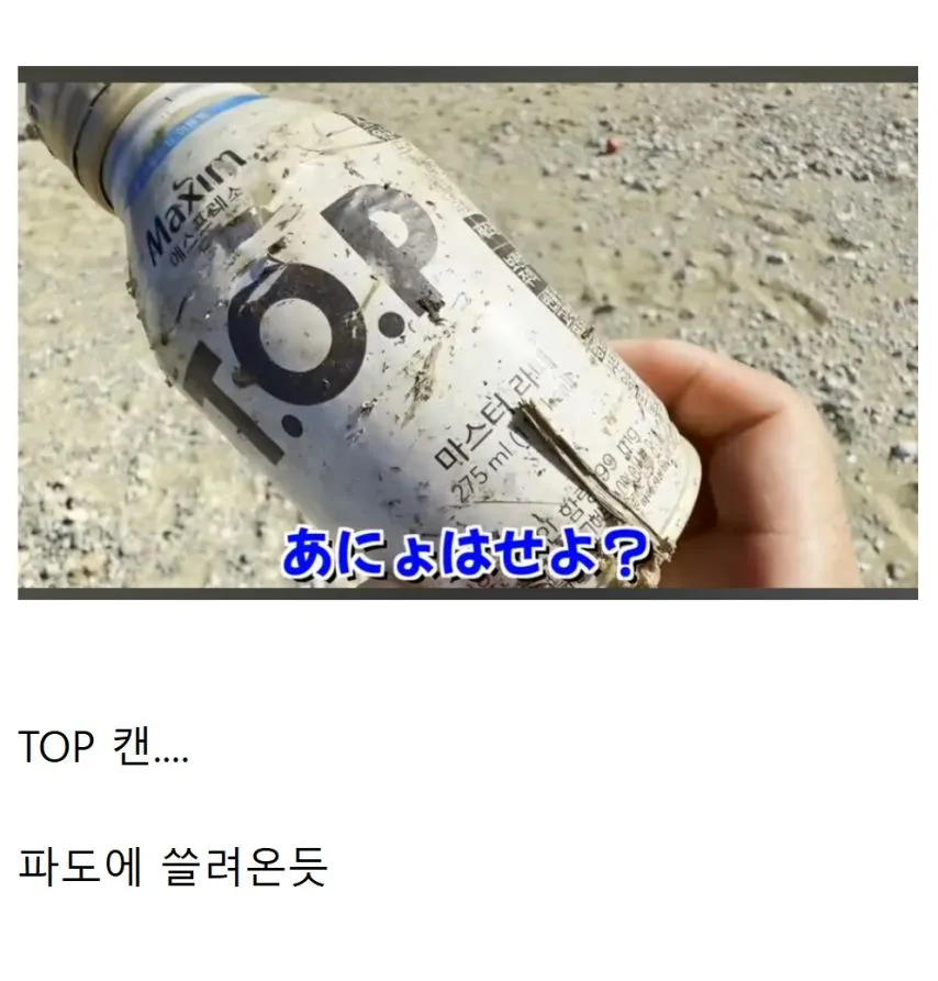 제대로된 도구 없이 무인도 서바이벌 하러간 일본인에게 나타난 구세주