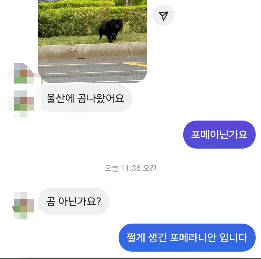 울산에 까지 나타났다는 반달가슴곰.jpg