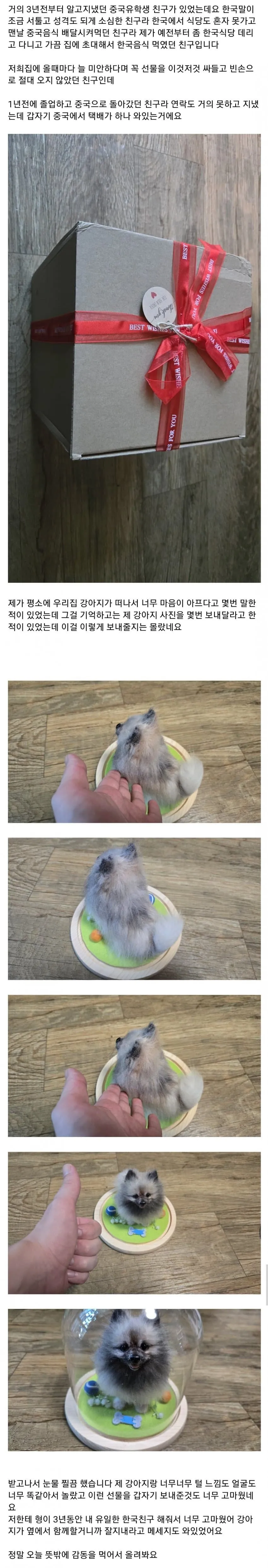 죽은 강아지 사진을 보내달라한 중국인 친구.jpg
