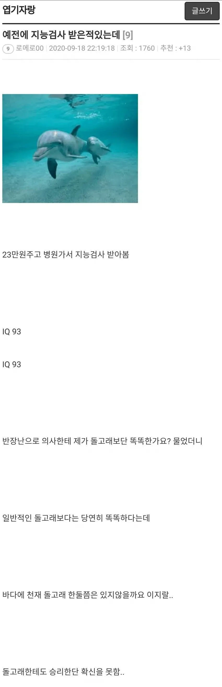 헐) 한국인 700만 명은 돌고래보다 지능이 낮다