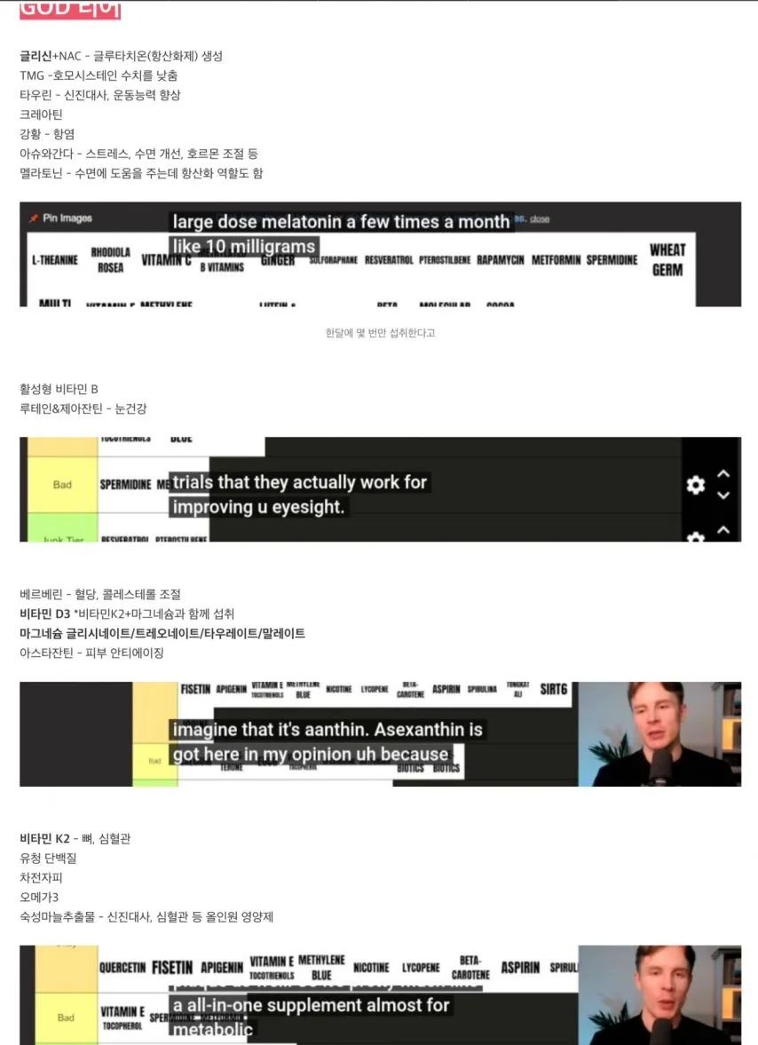 영양제 티어표