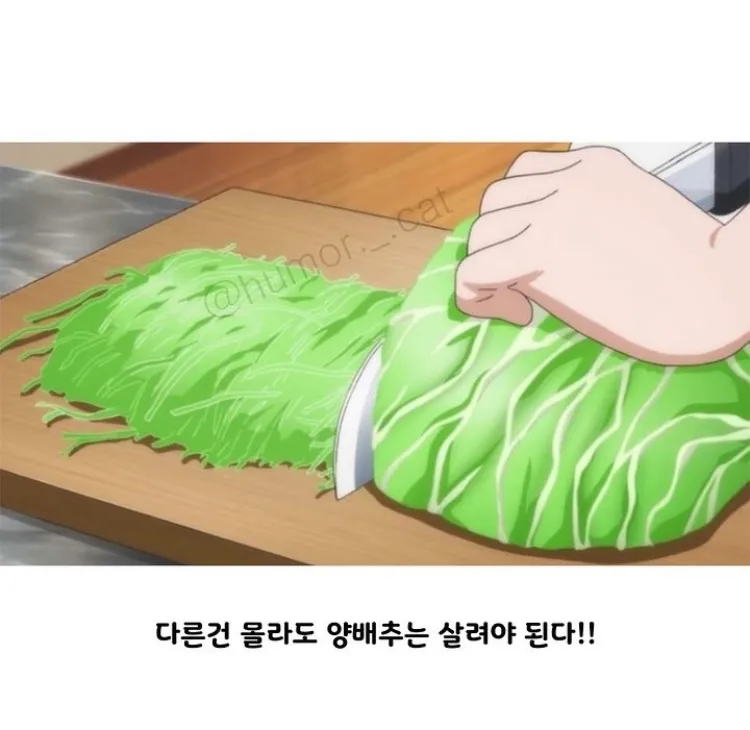 애니메이션 업계에서 양배추란?