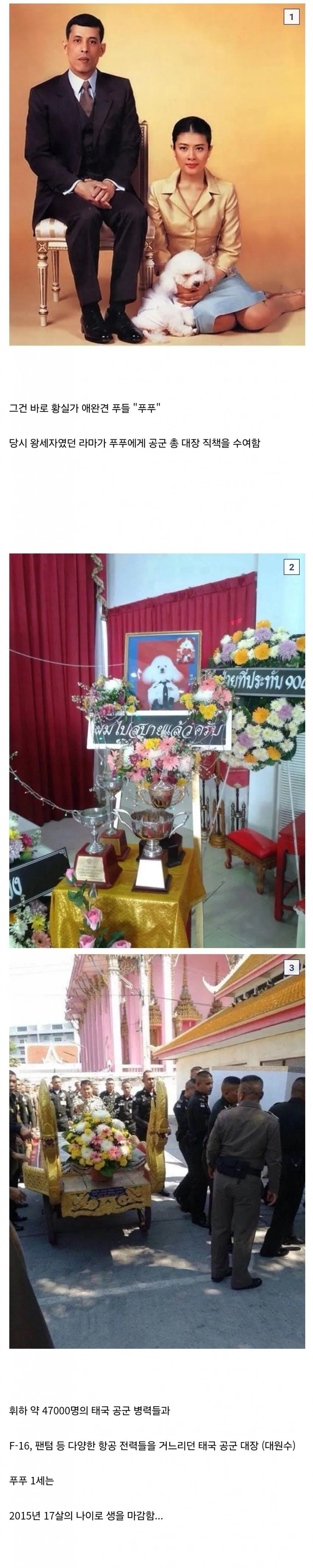 레전드 개새끼였던 태국 공군 대원수