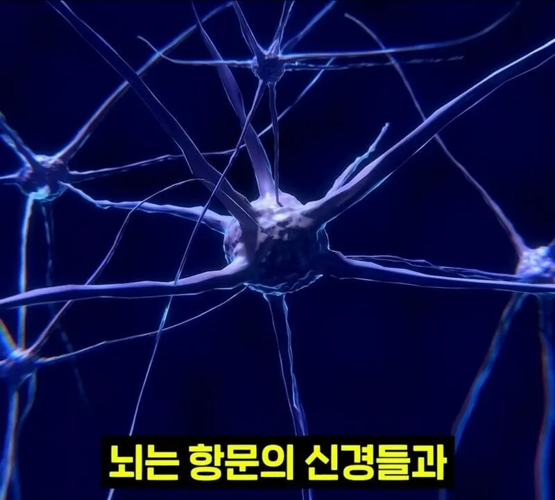 우리 뇌가 방귀와 똥을 구분하는 방법