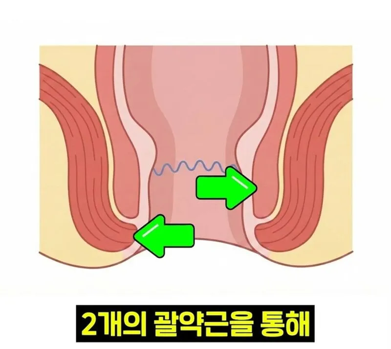 우리 뇌가 방귀와 똥을 구분하는 방법