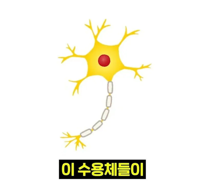 우리 뇌가 방귀와 똥을 구분하는 방법