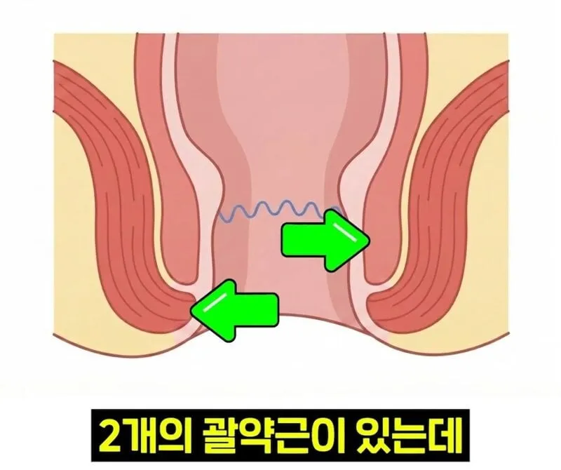 우리 뇌가 방귀와 똥을 구분하는 방법