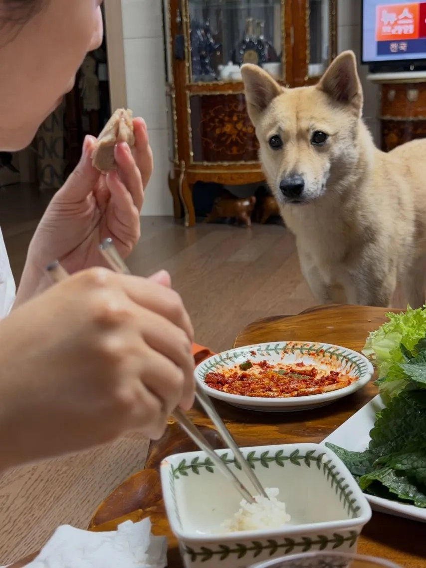 김장철