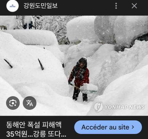 부산 폭설 vs 강원도 폭설 비교