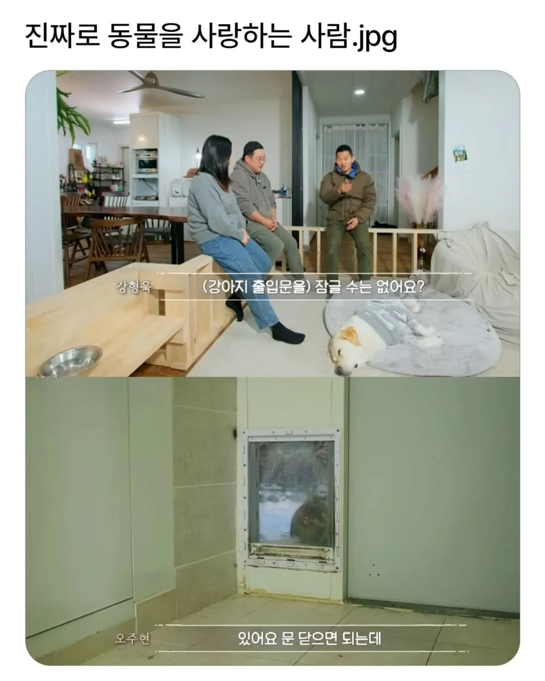 진짜로 동물을 사랑하는 사람.jpg