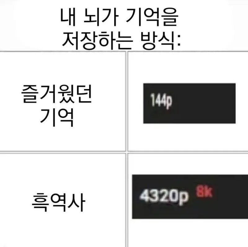 뇌가 기억을 저장하는 방식
