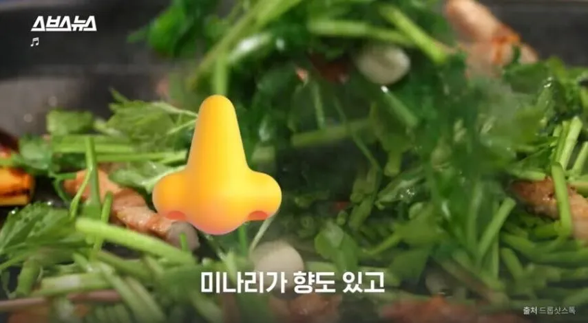 진짜로 일본에서 갑자기 확 뜬 식재료