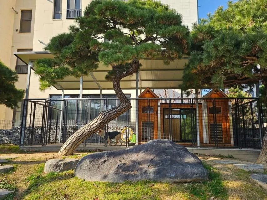 박세리 개집 클라쓰ㄷㄷㄷㄷ