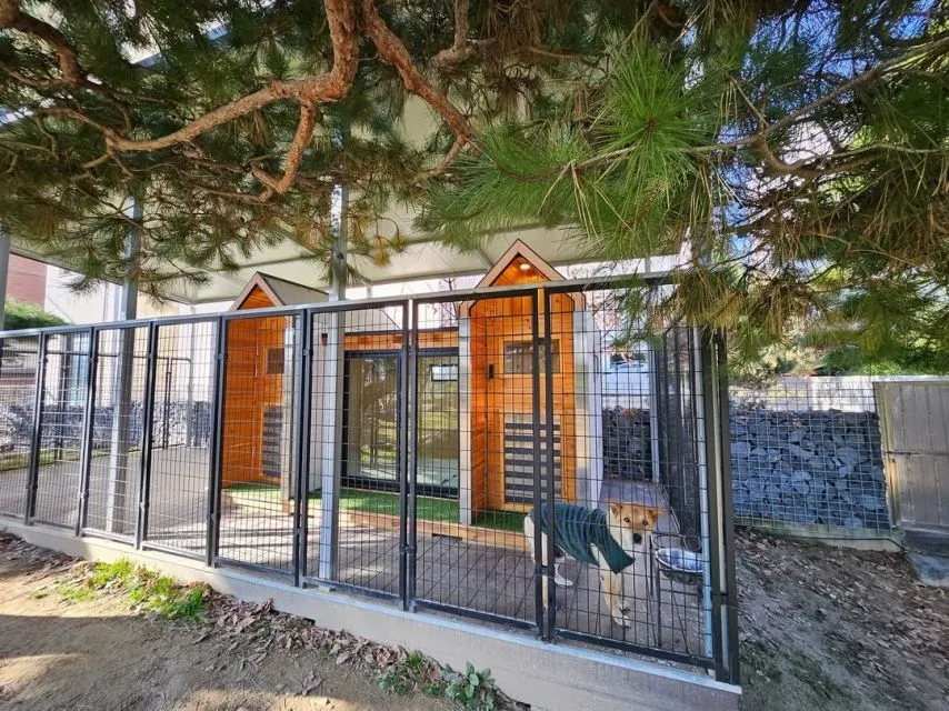 박세리 개집 클라쓰ㄷㄷㄷㄷ