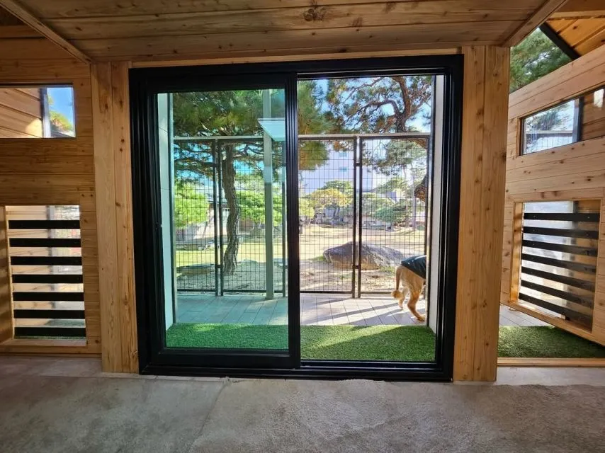박세리 개집 클라쓰ㄷㄷㄷㄷ