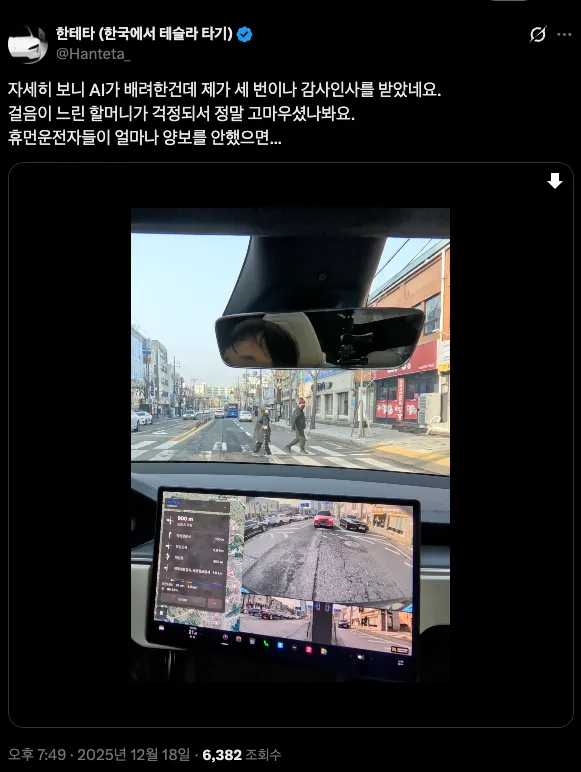 ⚡️운전하다가 감사인사 3번씩 받는 방법 (테슬라 FSD)