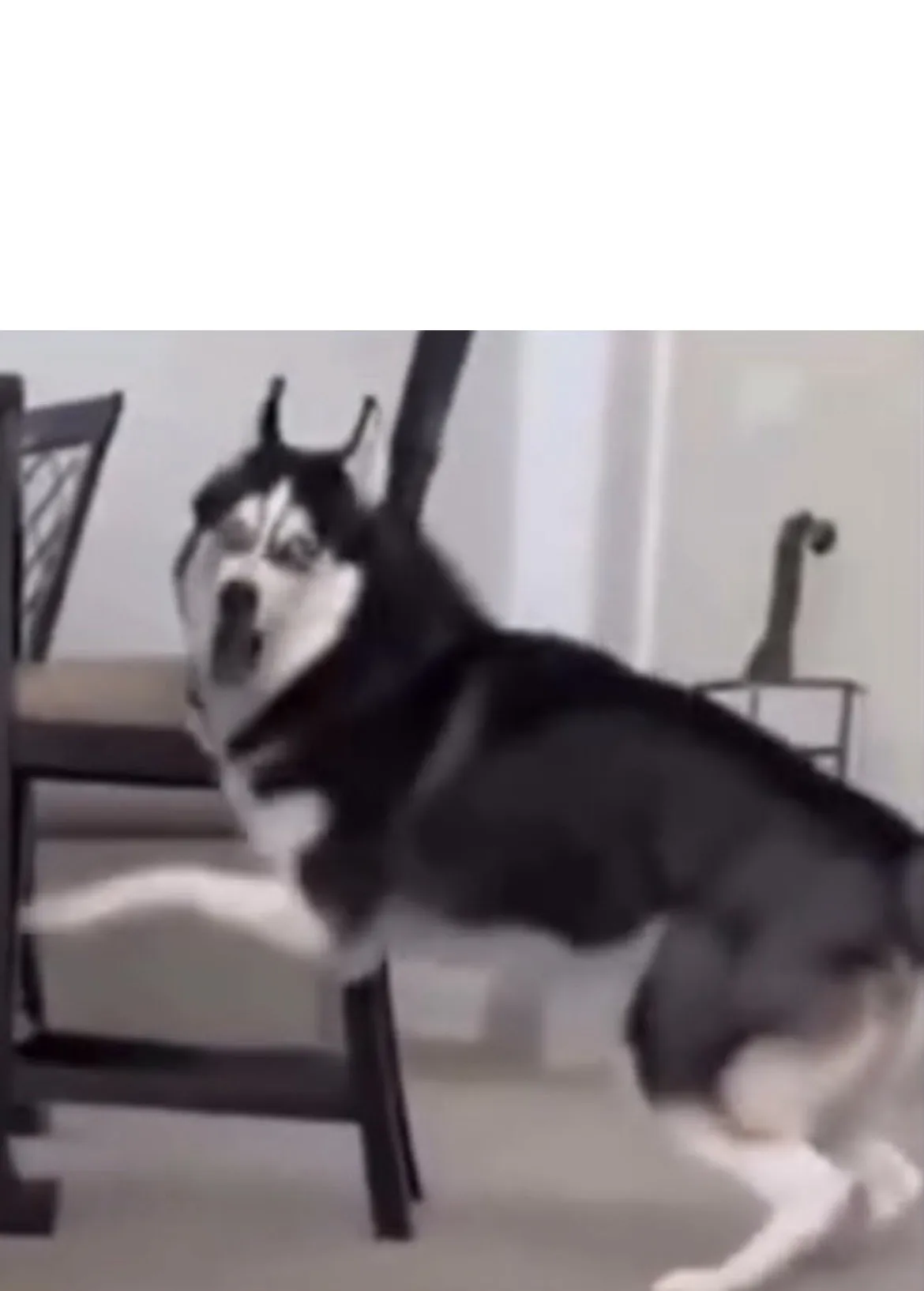 AI 아닌 실제 상황.mp4
