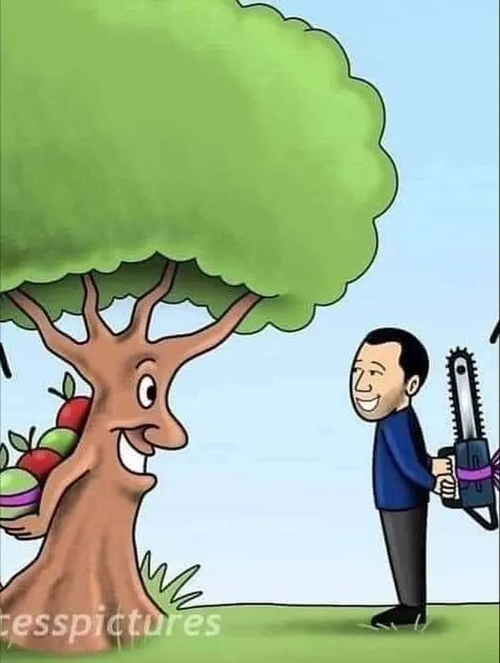 메시지가 있는 일러스트들.jpg
