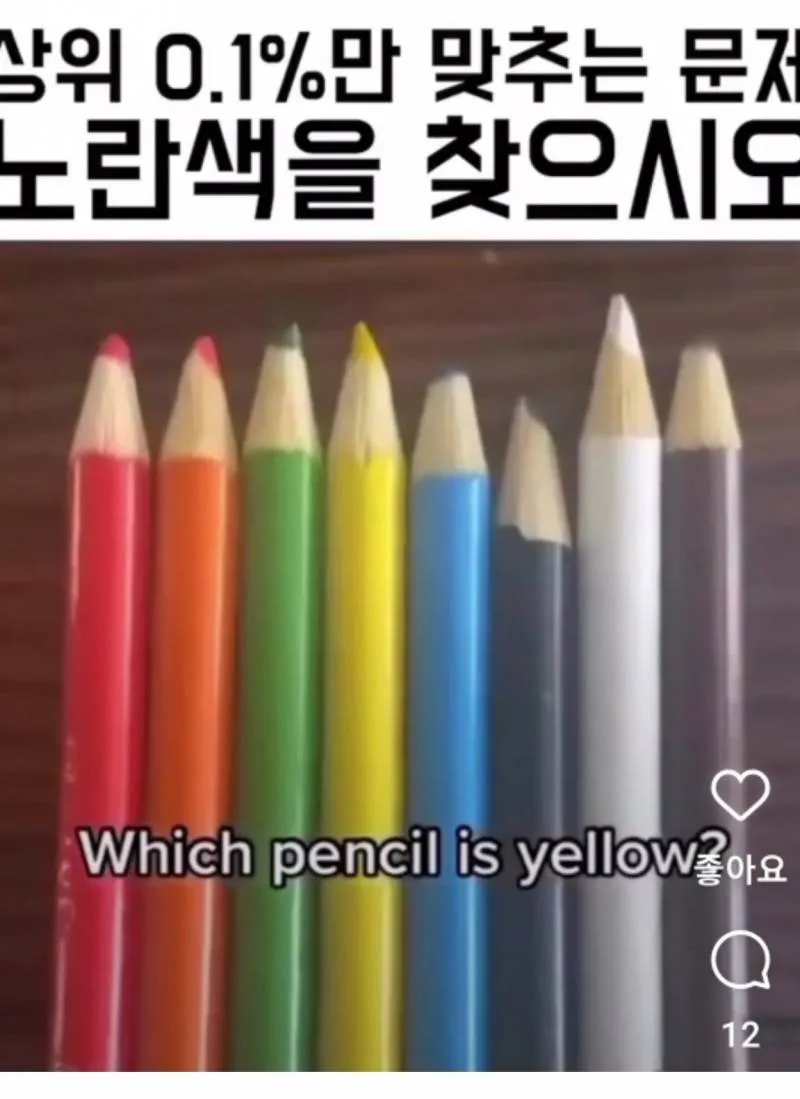 현재 미술 전공자 98%만 맞춘다는 색 구분능력