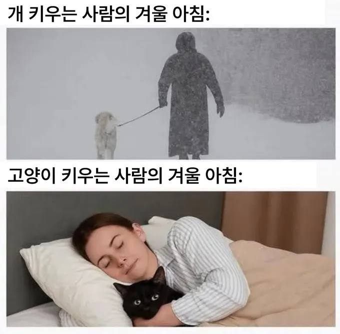 반려견 vs 반려묘