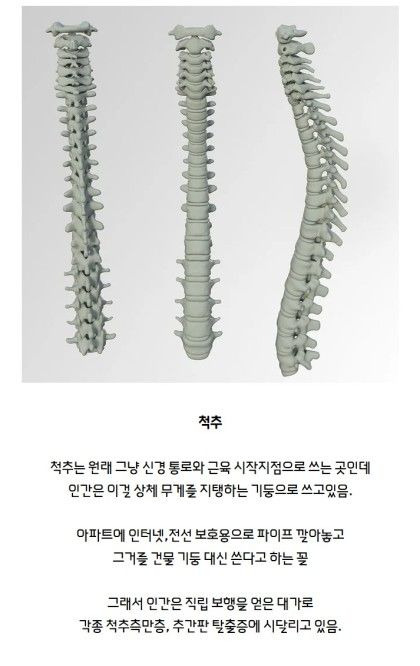 인간이 잘못된 용도로 쓰고있는것