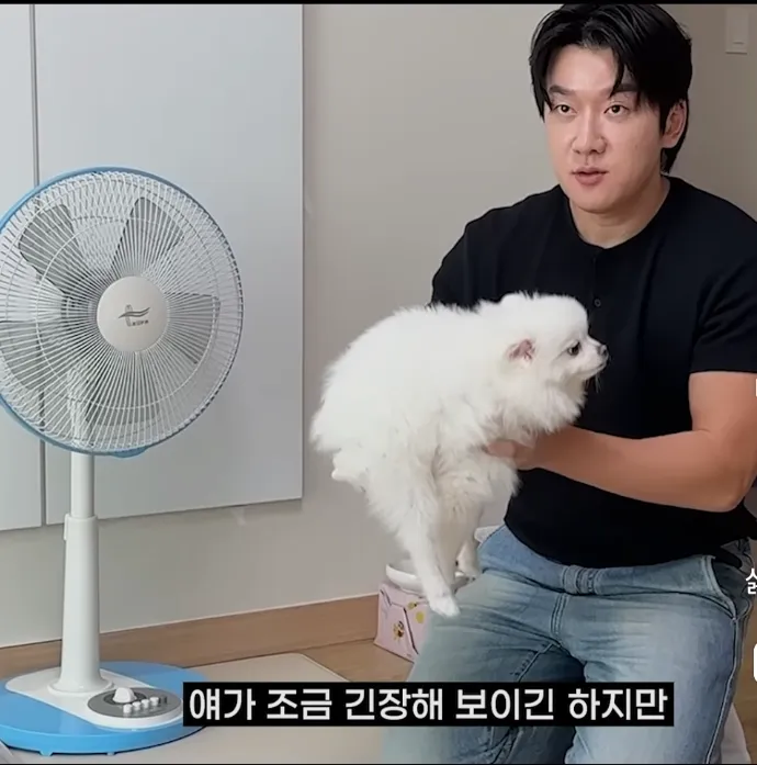 강아지 제대로 안는 법.
