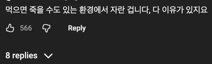 🇨🇦 캐나다 벤쿠버에는 굴이 끝없이 자라고 있다 🦪
